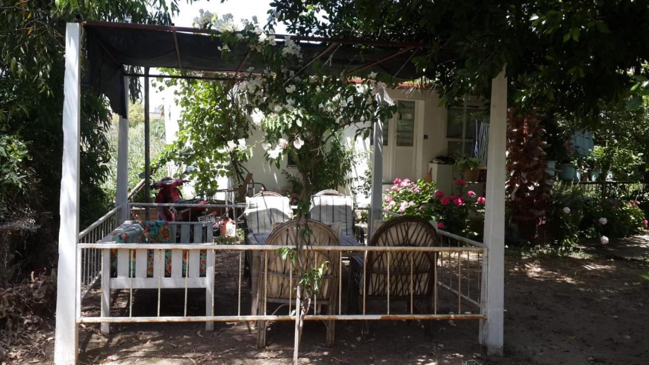 Alfa Apartments Bodrum Buitenkant foto
