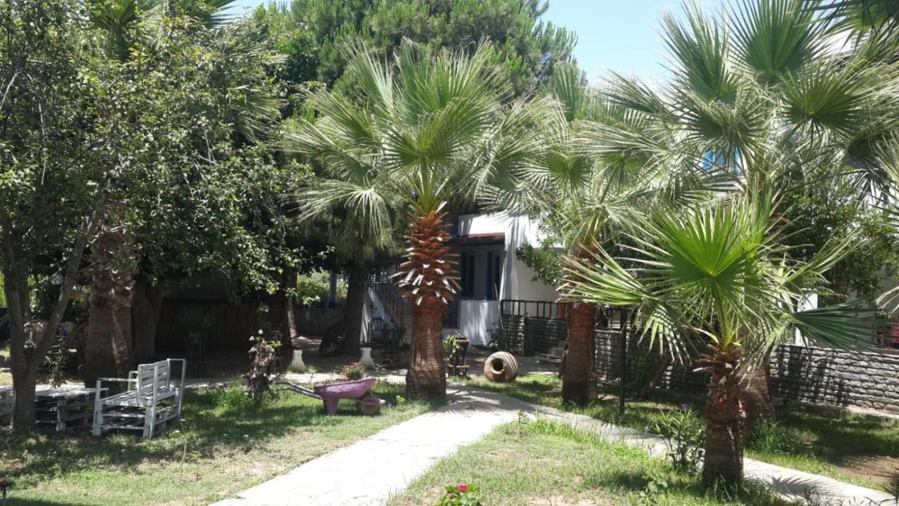 Alfa Apartments Bodrum Buitenkant foto