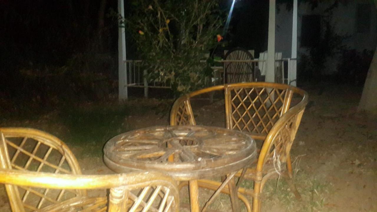 Alfa Apartments Bodrum Buitenkant foto
