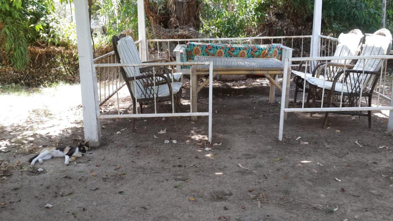 Alfa Apartments Bodrum Buitenkant foto