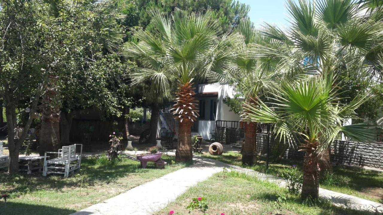 Alfa Apartments Bodrum Buitenkant foto